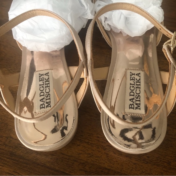 NIB $185 Karine Pointed Toe Flat BADGLEY MISCHKA COLLECTION in Nude - size 8! - Picture 11 of 14